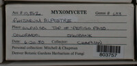 Image Associated With the Occurence